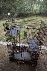 Sale Image for Wilkin Estate Personal Prop. -Absentee Bidding