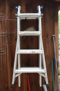 Sale Image for Large Public Auction - Real Estate &amp; Contents