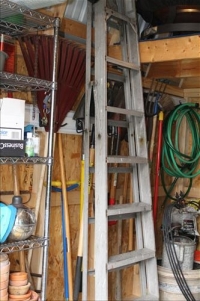 Sale Image for Moving Auction