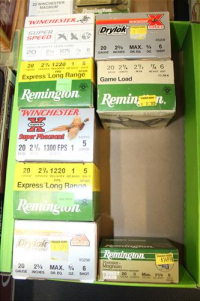 Sale Image for Large Public Auction