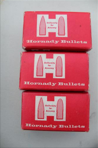 Sale Image for Large Public Auction