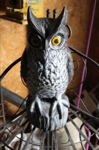 Sale Image for Estate Auction