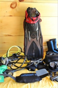 Sale Image for Large Public Auction