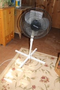 Sale Image for Large Public Auction - Real Estate & Contents