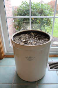 Sale Image for Real Estate &amp; Contents