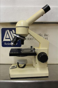 Sale Image for Large Public Auction