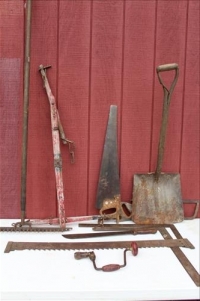 Sale Image for Large Public Auction