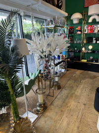 Sale Image for The Bazaar Project Coconut Grove, LLC