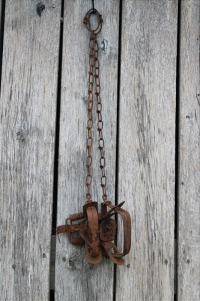 Sale Image for Auction - Real Estate &amp; Contents