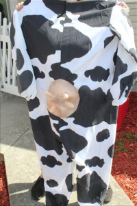 Sale Image for Real Estate & Contents