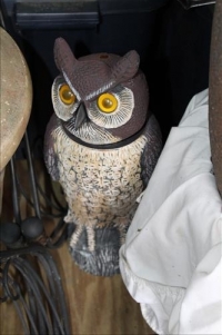 Sale Image for Moving Auction