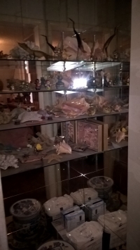 Sale Image for Crafty Connoisseur