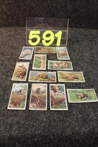Sale Image for Online Bidding Only Auction