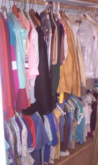 Sale Image for Crafty Connoisseur