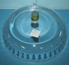 Mid 19th Century Glass Centerpiece to an Epergne