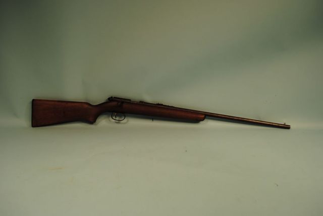 Remington .22 Caliber Rifle
