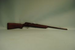 Remington .22 Caliber Rifle