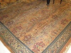 Oriental Rug