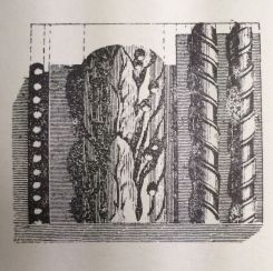 Sheraton Moulding for Architraves and Window Cornices