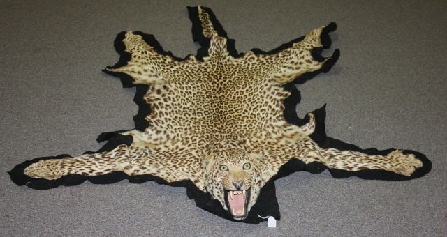 Leopard Head/Skin Rug