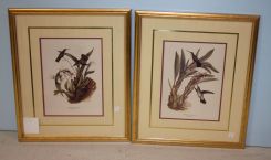 Two Masterpiece Company Prints of Hummingbirds