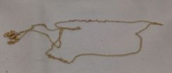 Plated Gold Chain