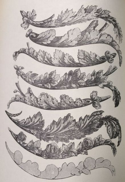 Sheraton Specimens of Ornament