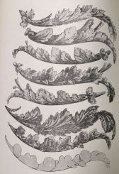 Sheraton Specimens of Ornament